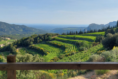 VUE DE LA TERRASSE