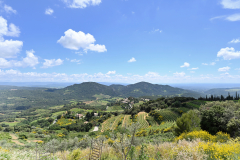 LE VILLAGE DE SUZETTE